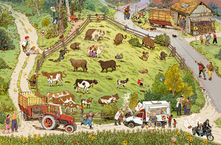 country maket_wimmelbuch.qxd